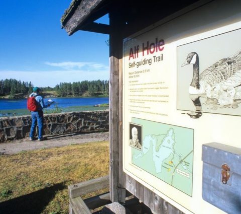 Alfred Hole Goose Santuary