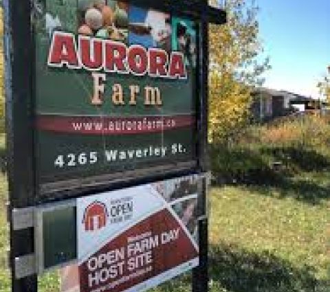 Aurora Farm