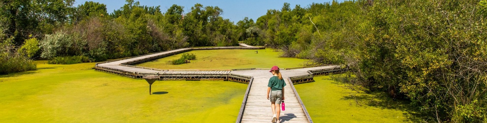 A young girl walking along the Fort Whyte Alive Boardwalk.