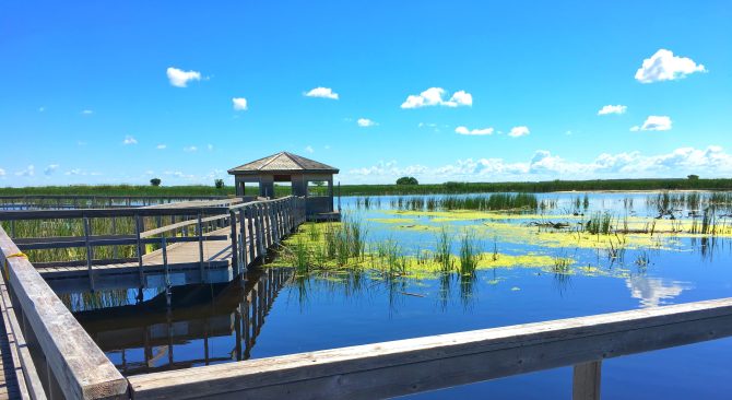 View of the boardwalks over Oak Hammock Marsh