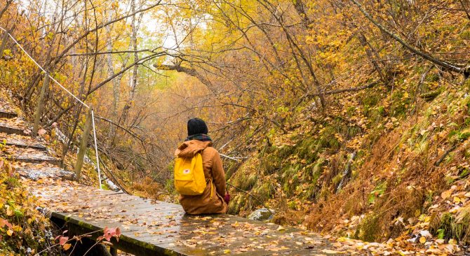 Lady sits on a wood bridge admiring falling autumn leaves wearing her yellow backpack that blends in with the natures colours