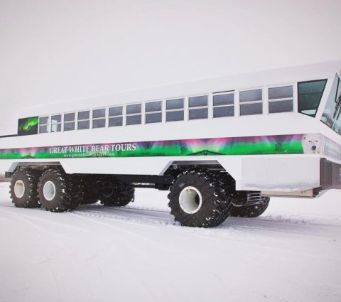 Polar Rover